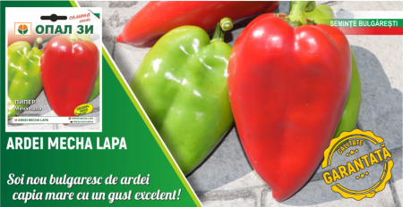 Semințe ardei capia Labă de Urs - 5g [1]