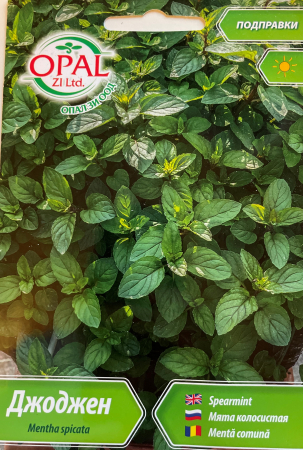 Plante aromatice - Seminte Menta comuna 0.15 grame