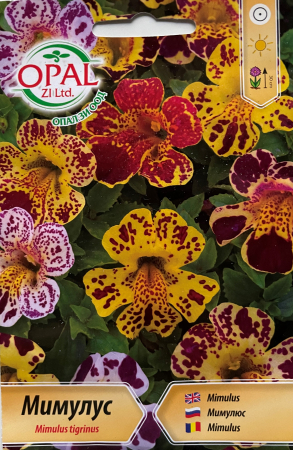 Semințe de Flori - Seminte Mimulus 5000 seminte