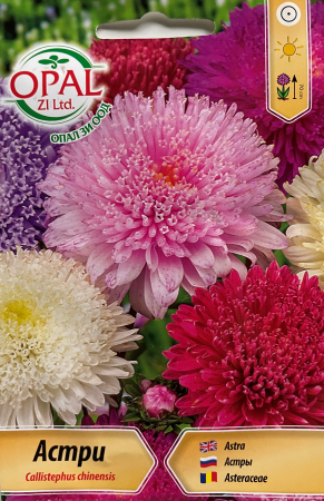 Semințe de Flori - Seminte Ochiul Boului Astra princess 0.7 grame