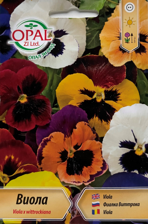 Semințe de Flori - Seminte Panselute gigant mixt 0,2 grame