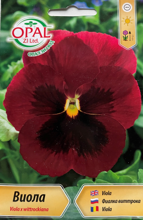 Semințe de Flori - Seminte Panselute rosii 0.2 grame