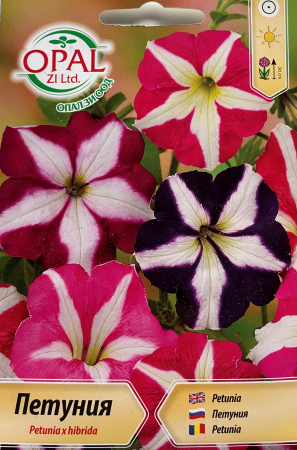 Semințe de Flori - Seminte Petunie stea mix 0.2 grame