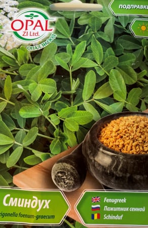 Plante aromatice - Seminte Schinduf - 180 seminte