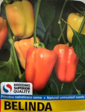 Produse - Seminte Ardei gras Belinda, 10  grame