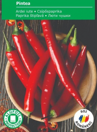 Produse - Seminte Ardei iute Pintea, 60 seminte