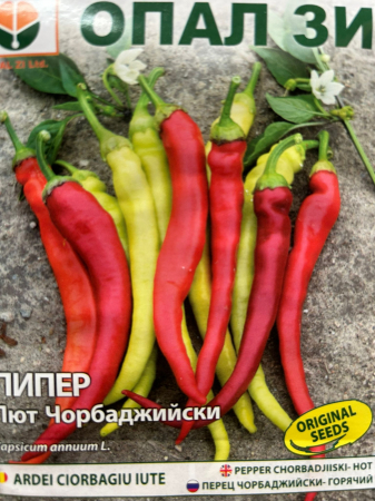 Semințe de Ardei iuți - Seminte Ardei iuti Ciorbagiu IUTE 2 grame
