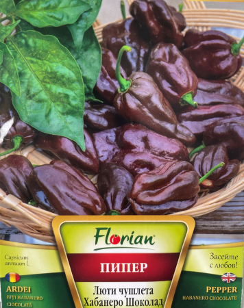 Produse - Seminte Ardei iuti Habanero ciocolatiu 20 seminte