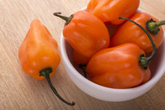 Seminte Ardei iuti Habanero portocaliu 20 seminte [2]