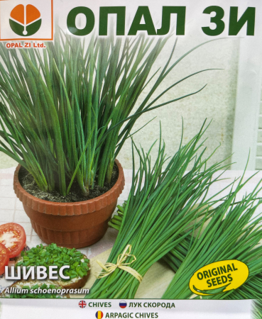 Plante aromatice - Seminte Chives (ceapa) 2 g