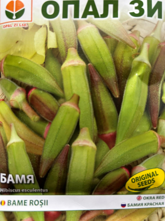 Semințe de Bame - Seminte Bame BG rosu  5 grame