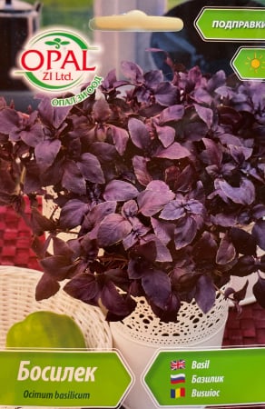 Plante aromatice - Seminte Busuioc Rosu inchis  (650 seminte)