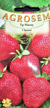 Seminte Capsuni - Seminte Capsuni - 10 seminte