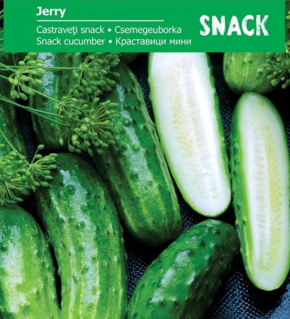 Semințe de Castraveți - Seminte Castraveti Jerry F1, 15 seminte