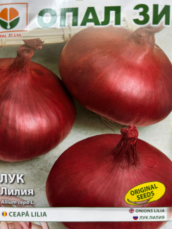 Seminte Ceapa Lilia 2 grame [1]