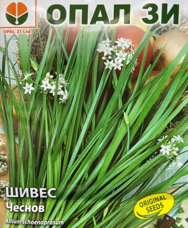 Plante aromatice - Seminte Chives (usturoi)  2 grame