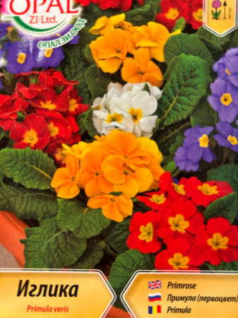 Semințe de Flori - Seminte Ciubotica cucului (Primula veris)