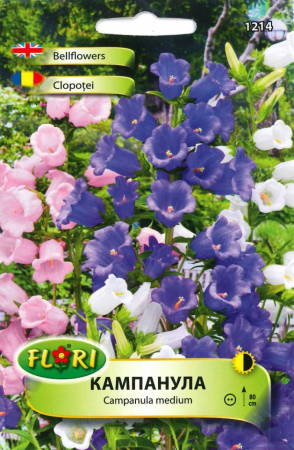 Semințe de Flori - Seminte Clopotel carpatin