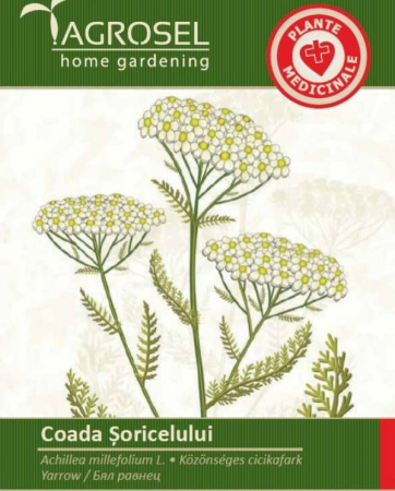 Plante aromatice - Seminte Coada soricelului - 1,5g