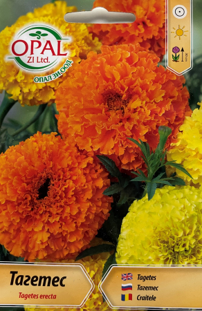 Produse - Seminte Craite Fantastic 0.7 grame