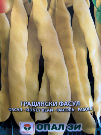 Semințe de Fasole - Seminte de fasole de gradina Goliat 40 grame