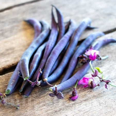 Semințe de Fasole - Seminte de fasole pitica mov Purple Queen 50 grame