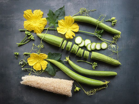 Semințe de Flori - Seminte de Luffa