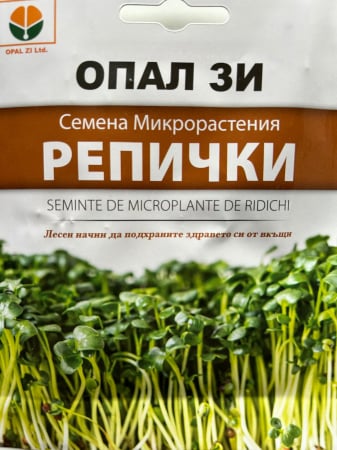 Produse - Seminte de Microplante de Ridichi 3 g