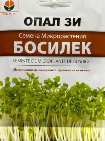 Semințe de Microplante - Seminte de Microplante de Busuioc- 3 g