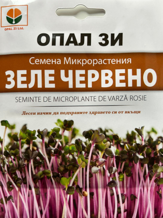 Semințe de Microplante - Seminte de Microplante de Varza Rosie 3 g