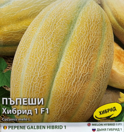 Semințe de Pepeni - Seminte de pepene galben Hibrid 1 F1- 5 g