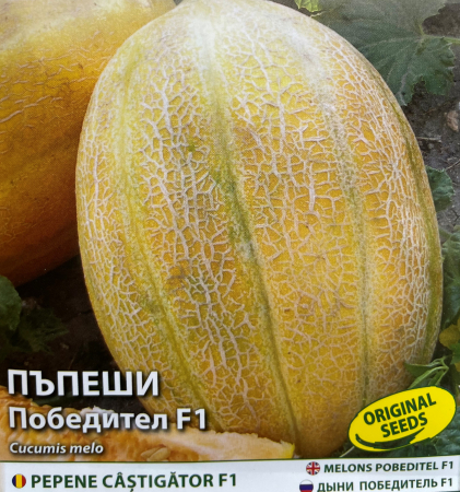 Seminte de pepene galben Pobeditel F1- 5 g [1]