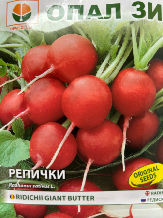 Semințe de Ridichi - Seminte de Ridichi Giant Butter 10 grame