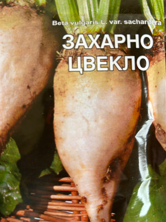 Seminte de sfecla de zahar 25 grame [1]