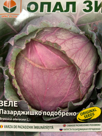 Produse - Seminte de varza de Pazardjik 5 grame