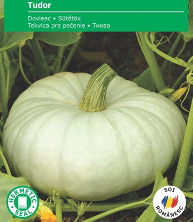 Produse - Seminte Dovleac de copt Tudor, 4 grame