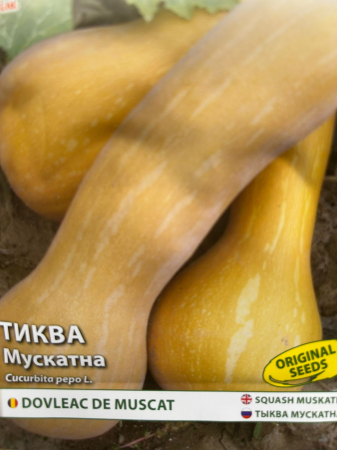 Seminte Dovleac de Muscat  5 grame [1]