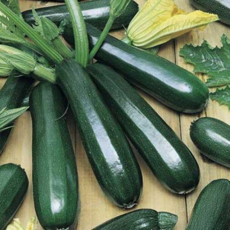 Semințe de Dovlecei - Seminte Dovlecei  Black Beauty (Zucchini) 5 grame