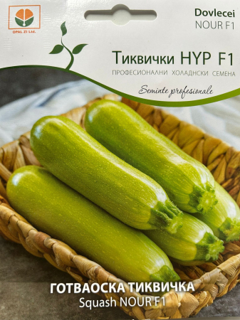 Semințe de Dovlecei - Seminte Dovlecei Nour F1