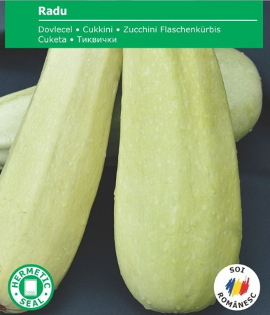 Produse - Seminte Dovlecel Radu, 4 grame