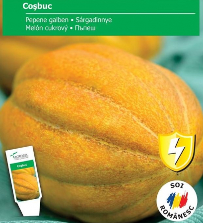 Semințe de Pepeni - Seminte Pepene galben Cosbuc, 3 grame