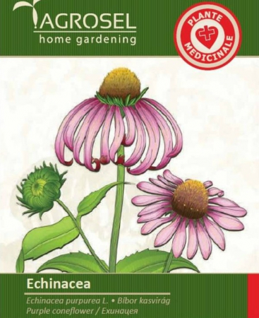 Produse - Seminte Echinacea - 2g