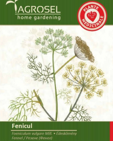 Plante aromatice - Seminte Fenicul - 4g