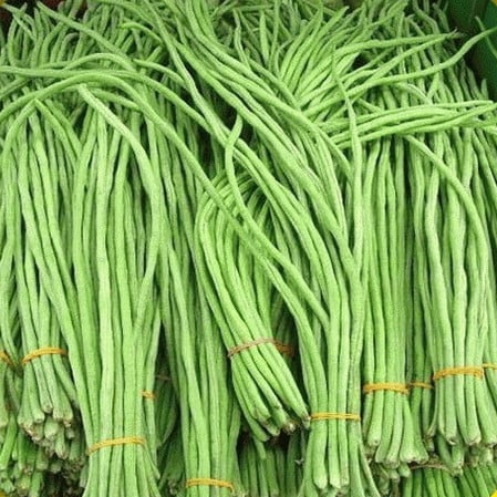 Seminte fasole Asparagus (fasole la metru)  30 grame [0]