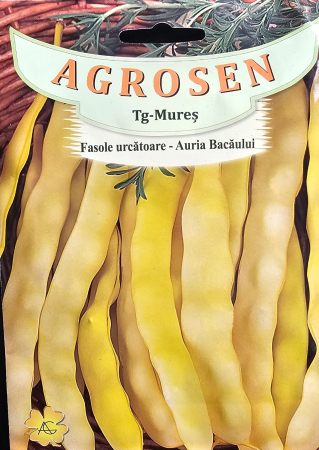 Semințe de Fasole - Seminte fasole Auria Bacaului - 25 grame
