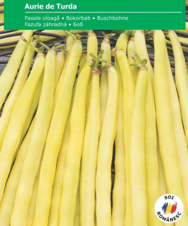 Semințe de Fasole - Seminte Fasole Aurie de Turda - 25 grame