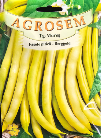 Semințe de Fasole - Seminte fasole Berggold - 50 grame