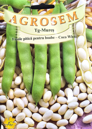 Semințe de Fasole - Seminte fasole Coco White - 50 grame