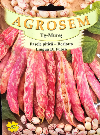 Semințe de Fasole - Seminte fasole Lingua di Fuoco - 50 grame