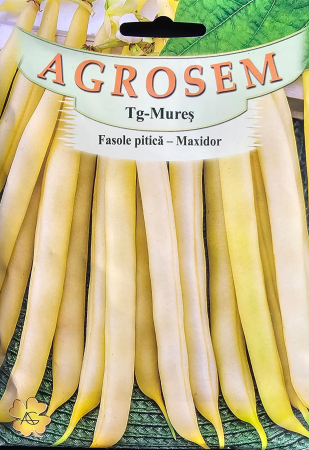 Semințe de Fasole - Seminte fasole Maxidor - 50 grame
